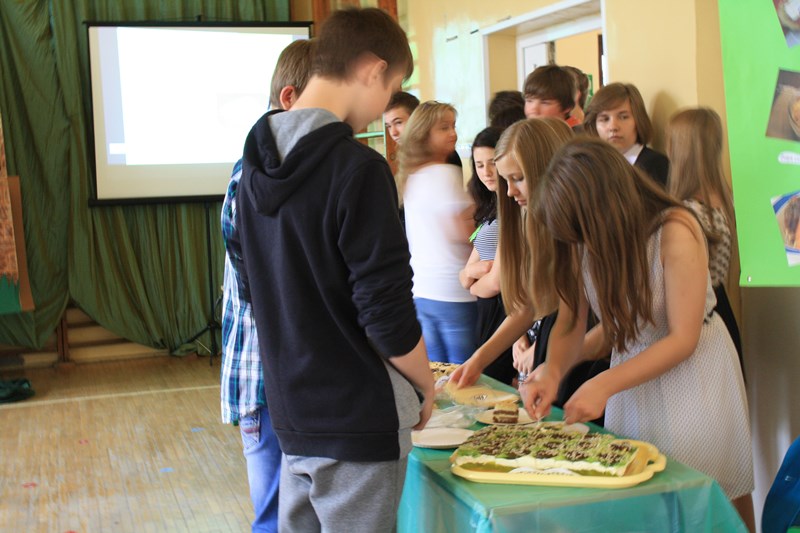 DZIEŃ PROJEKTÓW EDUKACYJNYCH W GIMNAZJUM