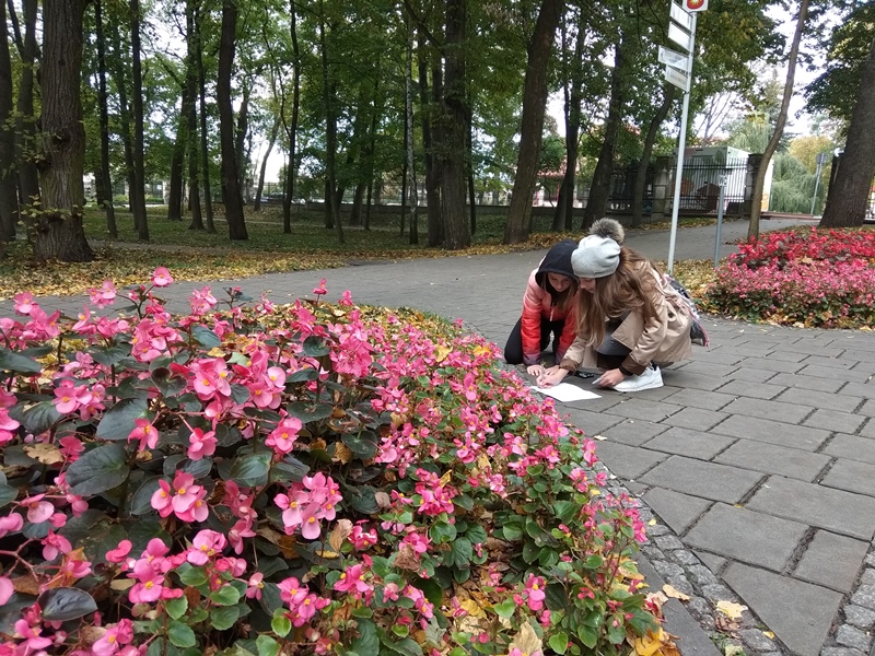 MY SPA PARK – wdrażanie do dwujęzyczności