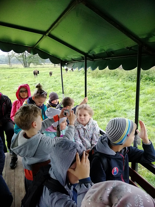 Wycieczka do Kurozwęk – lekcje w plenerze