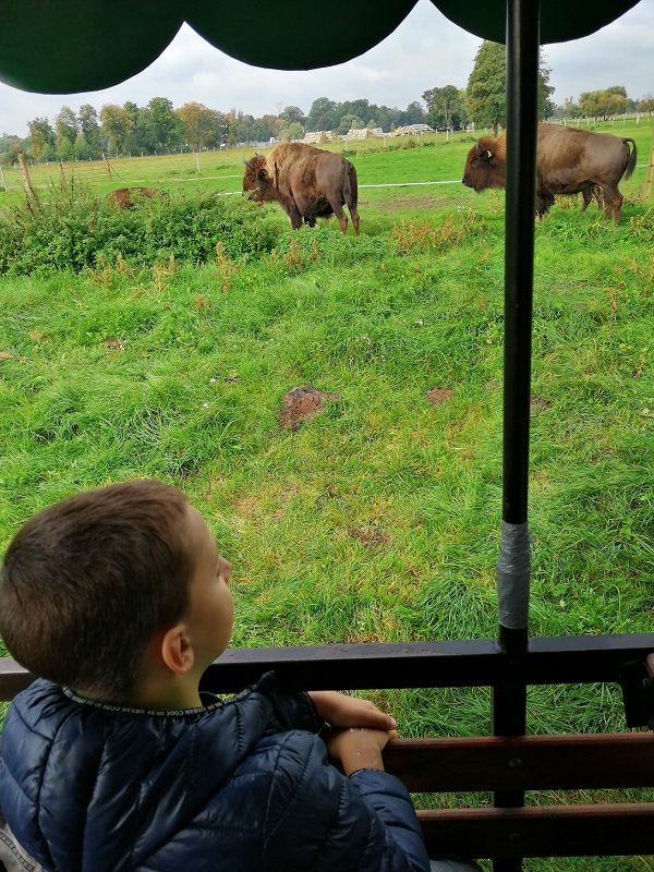 Wycieczka do Kurozwęk – lekcje w plenerze
