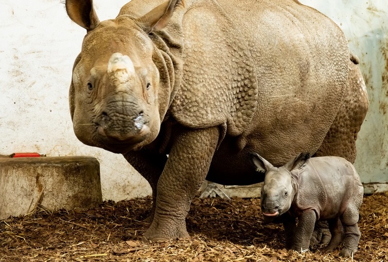 Warsztaty we wrocławskim ZOO